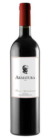 Armatura