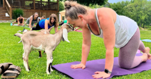 Blog_Yoga_Featured (1)